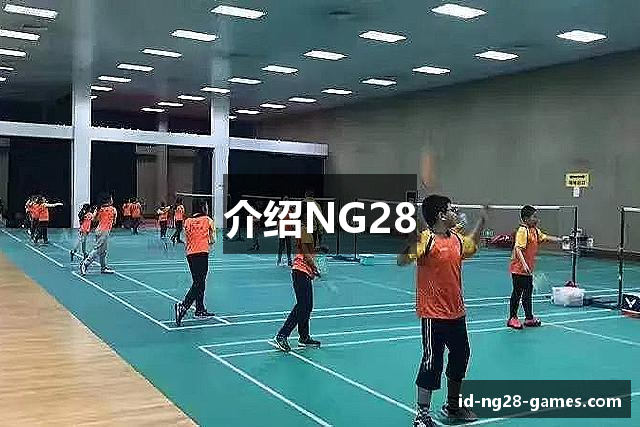 介绍NG28